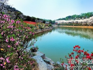 秋季花展杭州植物園開幕 多個罕見植物品種可賞