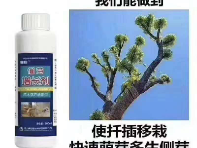 催芽增長極