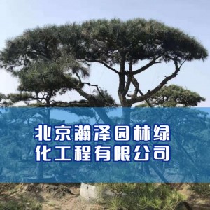北京瀚泽园林绿化工程有限公司