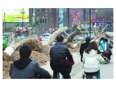 与南京城市管理局绿化管理处合作案例