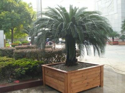 上海防腐木景观专业维护，防腐木景观专业维护价格实惠