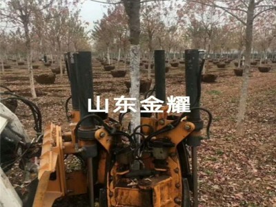 挖树机移树机挖起树来带着泥 山东金耀挖树机